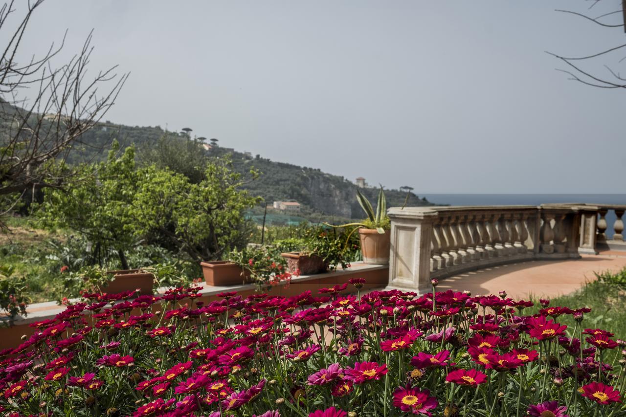 Faraglioni Di Sorrento Guesthouse Kültér fotó